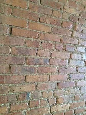 Rented by The Macon Realty | media 2