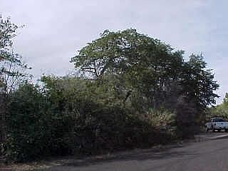 2nd image of 22690 S Lakewood Drive