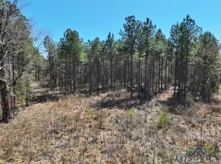 County Road 1453 #&-1454, Linden, TX 75563
