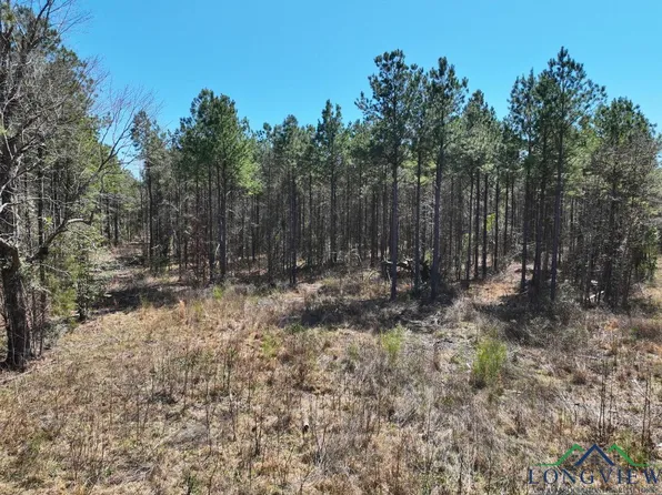 County Road 1453 #&-1454, Linden, TX 75563