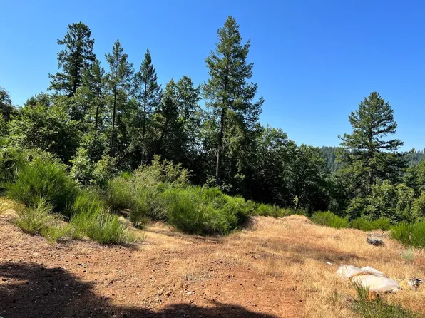 75 Bottle Hill Rd, Georgetown, CA 95634