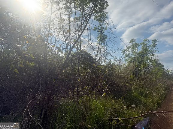 4th image of 0 Ed Varnadoe Rd