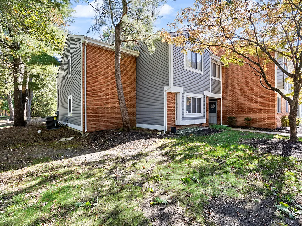 301A Mulberry Cv #1
