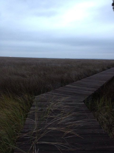 Marsh view