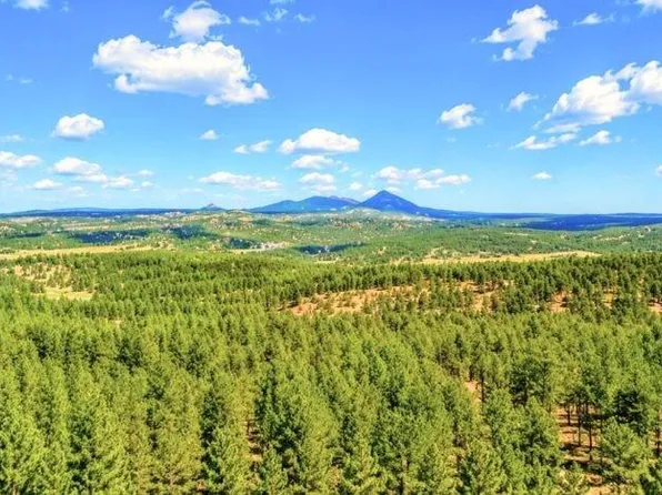 196 Freeman Drive, Florissant, CO 80816