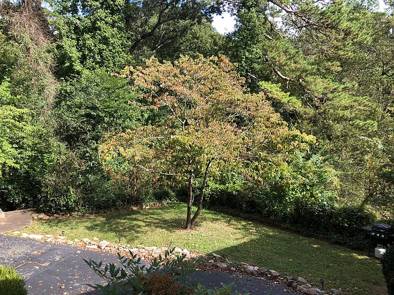 8 Battery Dr #A — Photo 23