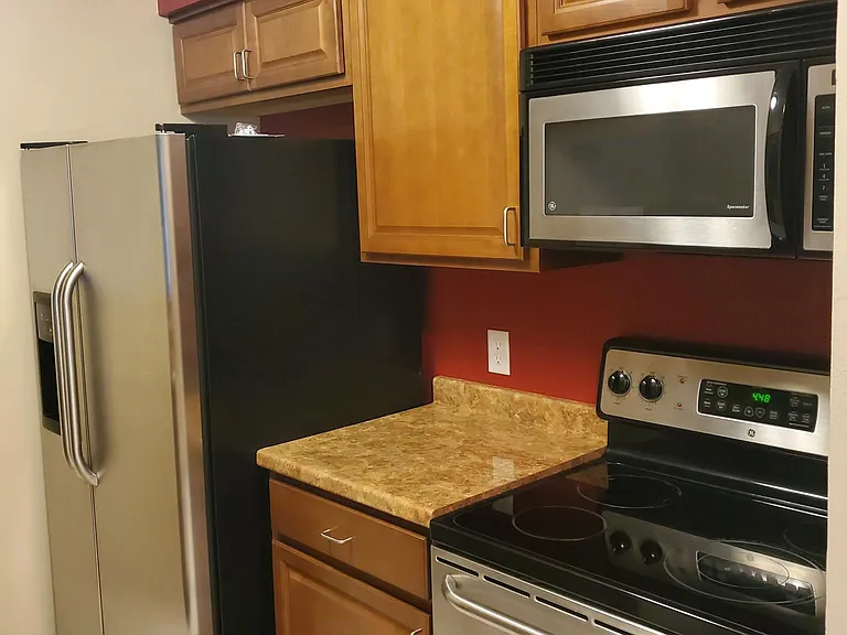 14317 Hanging Moss Cir #201 — Photo 3