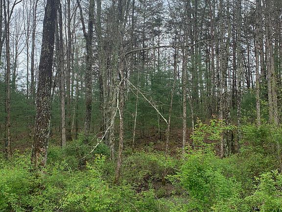3rd image of 7036 Ute Ln Lot 81