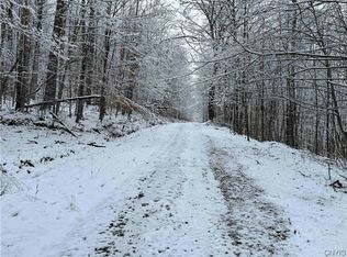 0 County Road 38, Alma, NY 14708