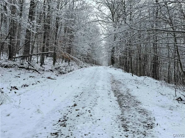 0 County Road 38, Alma, NY 14708