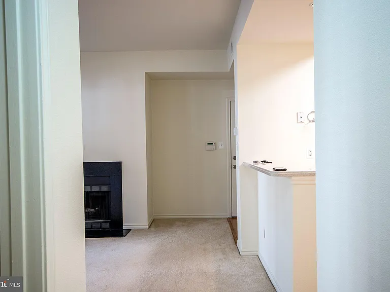 12153 Penderview Ln #2004 — Photo 16