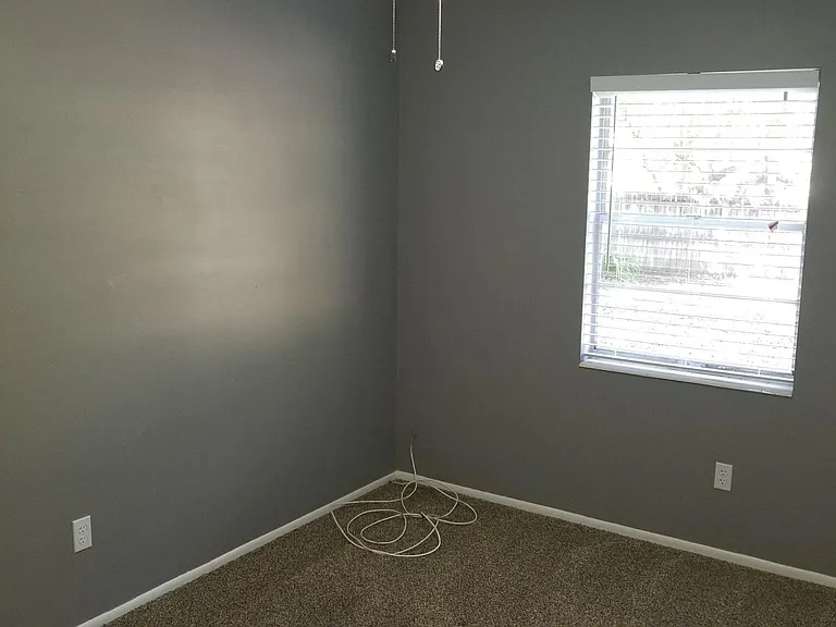 3209 W Lutz Lake Fern Rd — Photo 22