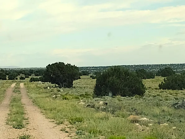 20 Elk Valley Rnch #1, Saint Johns, AZ 85936
