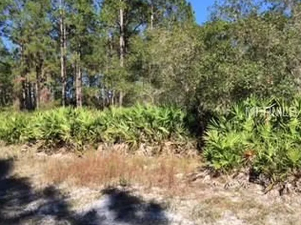 Poinciana St, Eustis, FL 32736