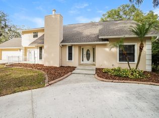 126 Goins Dr, Seffner, FL 33584