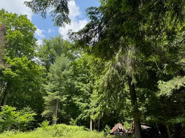 0 Cold Springs Rd, Old Forge, NY 13420