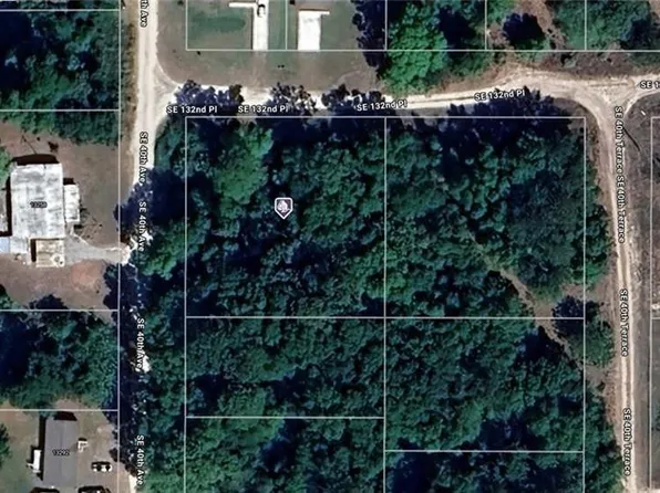 4214-161-001 SE 132nd Pl Lot 1, Belleview, FL 34420
