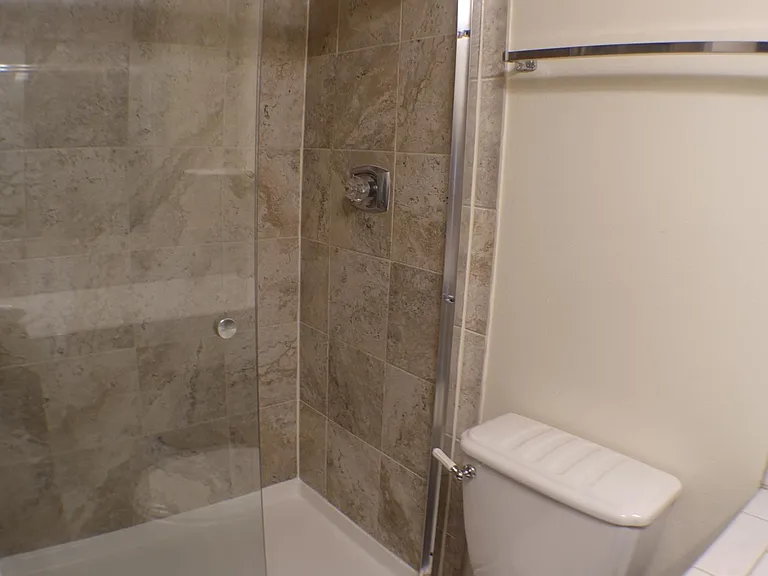 Master Bathroom Shower
