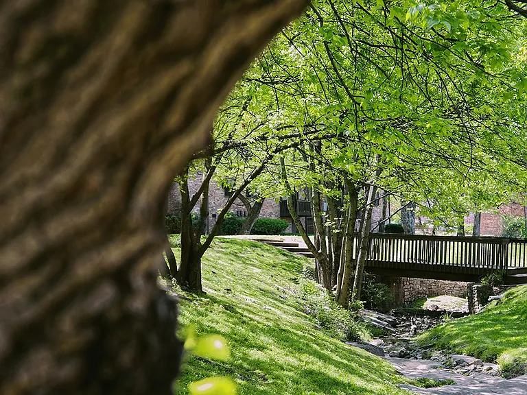 Gazebo Apartments — Photo 70
