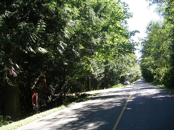 StreetView1