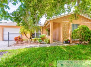 10105 Chapel Hill Ct, Tampa, FL 33615
