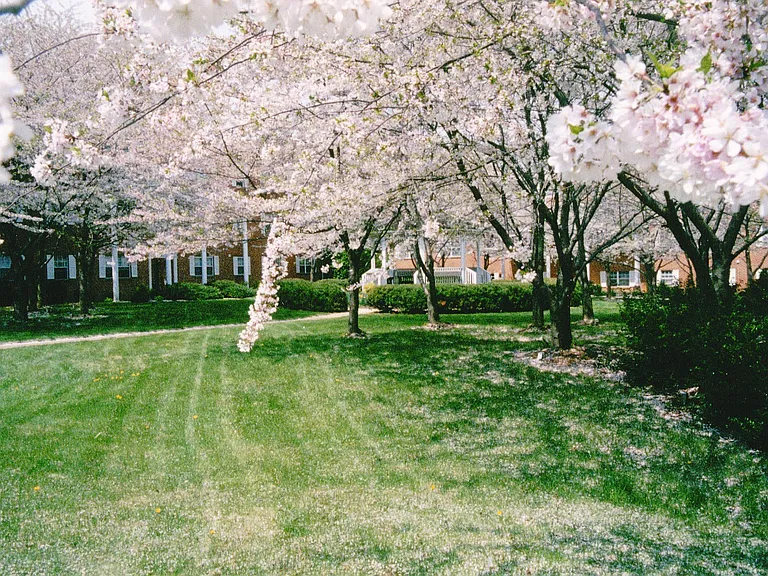 Harford Village South Apartments — Photo 16