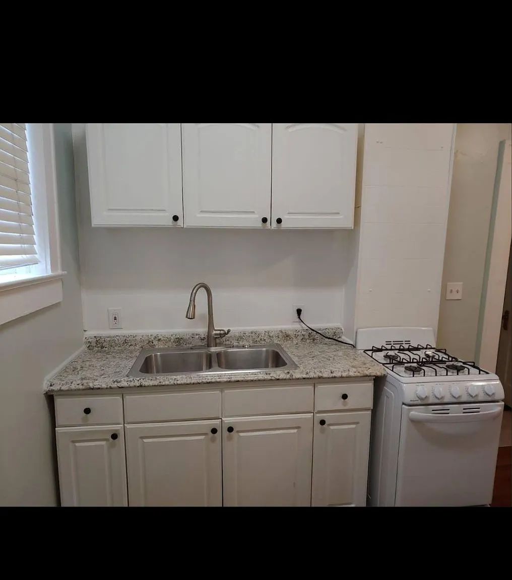 1 bed, 700 sqft, $1,250 — Photo 3