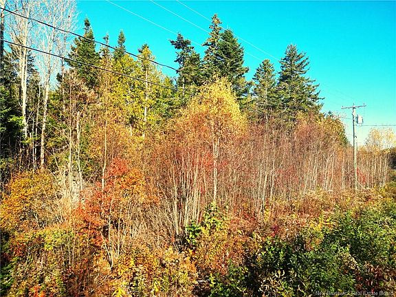 3rd image of 18 Harbour Heights Dr Lot 85