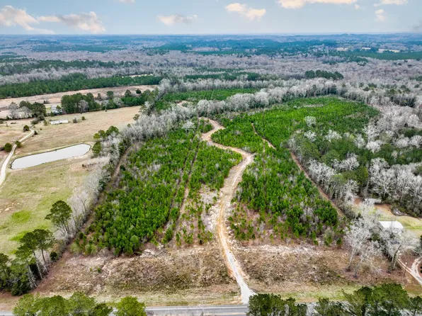 66/- Acres, Jack, AL 36346