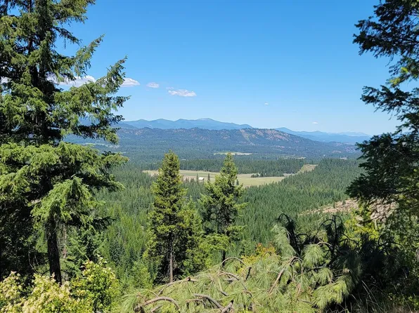 Nkn Cosmos Lots 23 24 27 Ln, Newport, WA 99156