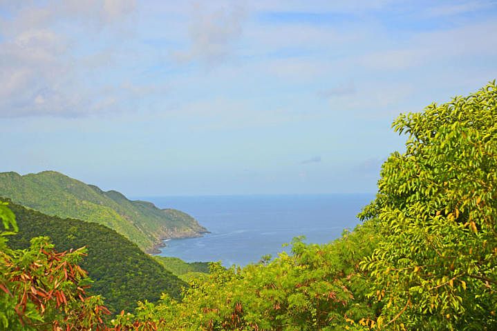 View Towards Carambola Beach