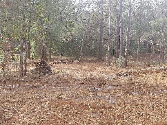 2nd image of 4646 N Orange Grove Dr