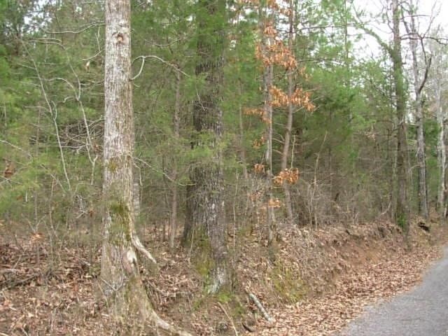 2nd image of 0 County Road 36 Lot 6R-2