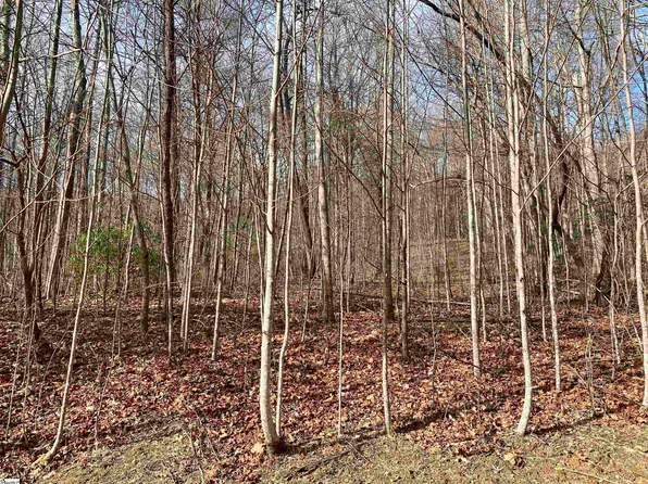 Mossy Glen Dr Lot 128, Landrum, SC 29356