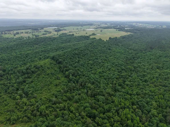 Null West 80 Thousand, Gillham, AR 71841