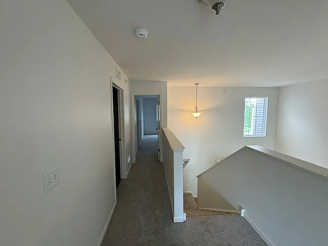11913 Brunschon Ln — Photo 17