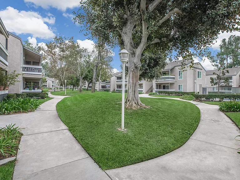 Peartree Apartments — Photo 16