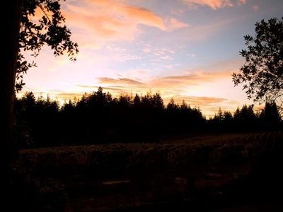 114 Phelan Ct, Santa Cruz, CA, 95060