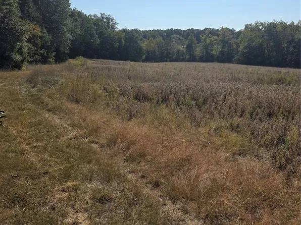 0 Birch Creek Farm Loop, Leslie, MO 63056