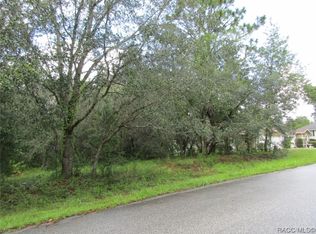 1302 N Mediterranean Way, Inverness, FL 34453