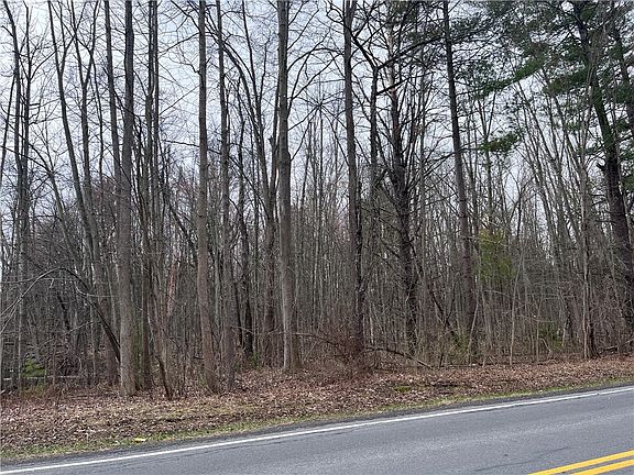 2nd image of 0 Packwood Rd Lot 1