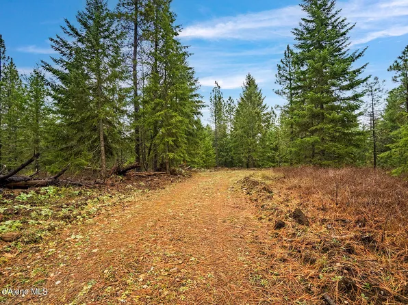 30766 N Riffle Rd, Spirit Lake, ID 83869