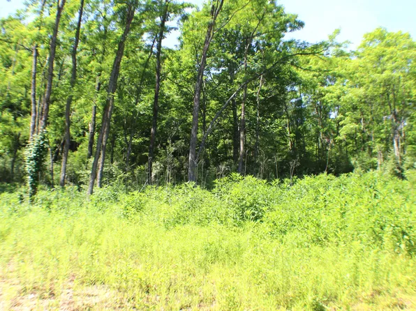 Steven Hole Run Rd, Buckeye, WV 24924