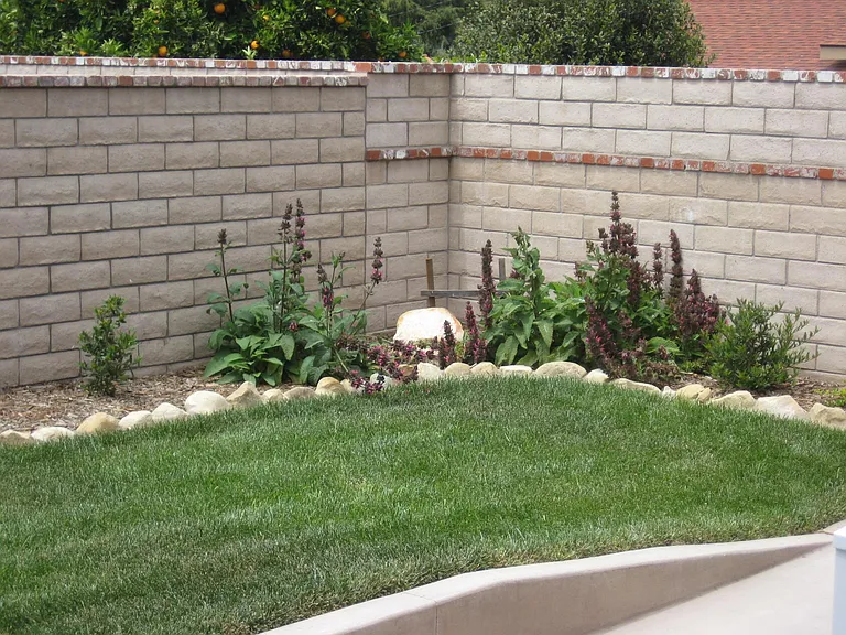 Private Back Yard