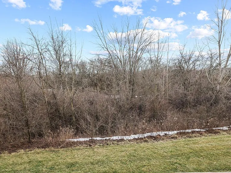 6447 Walnut Fork Dr — Photo 62