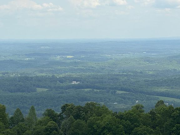 views from road through subdivision