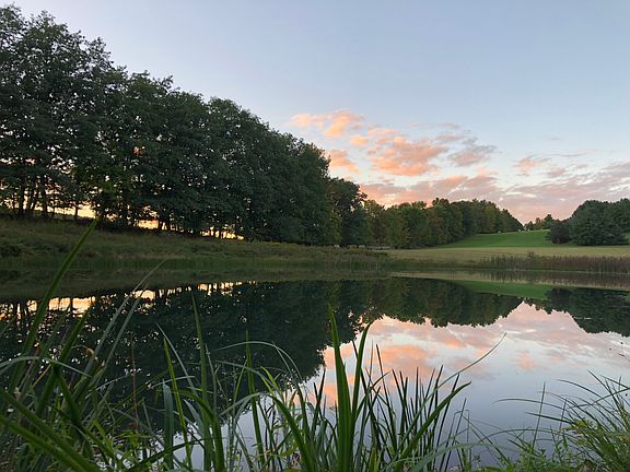 1 acre spring fed pond