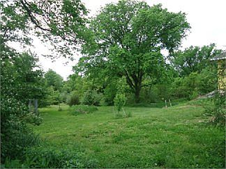 2nd image of 1470 W No Name Rd