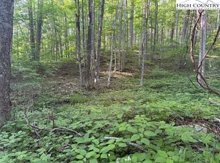 Lot 59 Beechwood Circle, Creston, NC 28615
