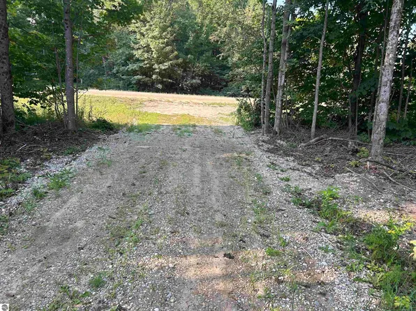 7613 Covert Rd NE, Mancelona, MI 49659